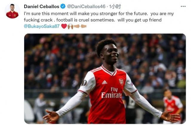 振奋的阶段 振奋的阶段