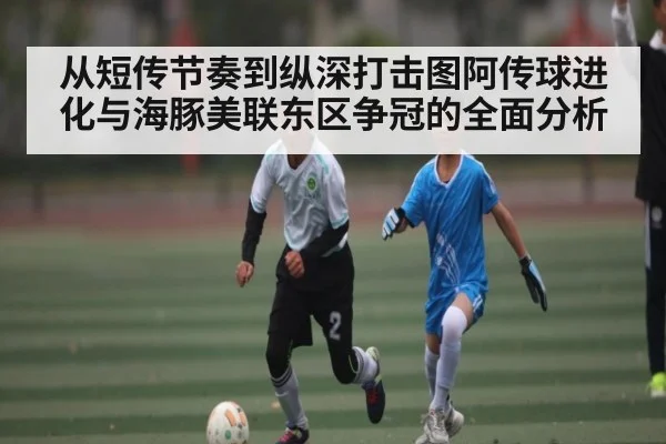 从短传节奏到纵深打击图阿传球进化与海豚美联东区争冠的全面分析