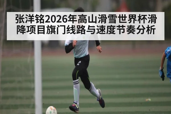 张洋铭2026年高山滑雪世界杯滑降项目旗门线路与速度节奏分析